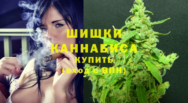 прущий лед Корсаков