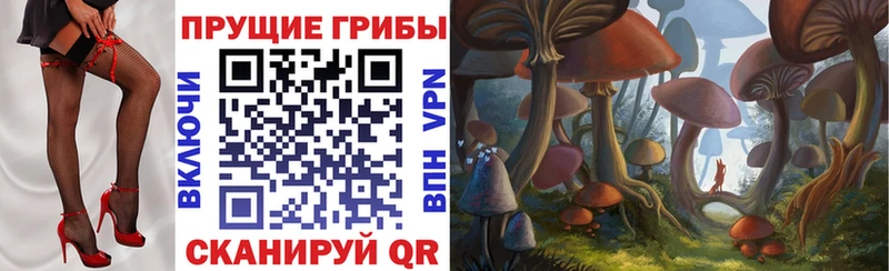 Галлюциногенные грибы Psilocybine cubensis  Купить закладки  Почеп 